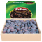 Medjoul Hurma, MEDIUM, 3 kg